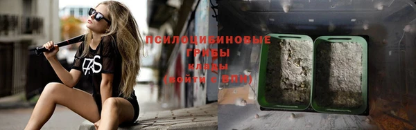 мет Алексин