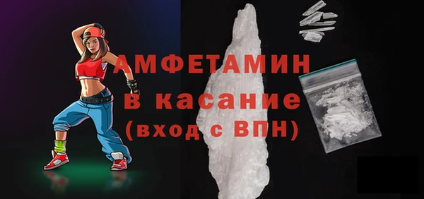 мет Алексин