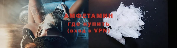 мет Алексин