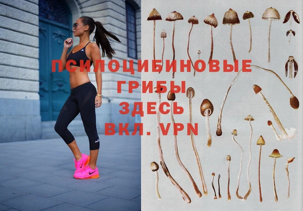марки nbome Алексеевка
