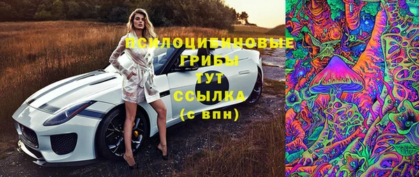 спиды Алзамай