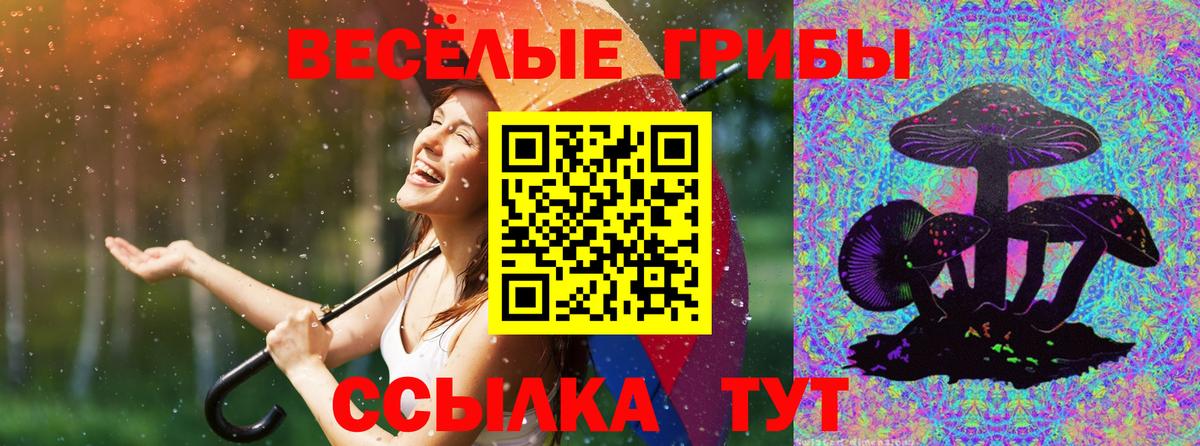 Архангельск  Псилоцибиновые грибы GOLDEN TEACHER  Вход с VPN 
