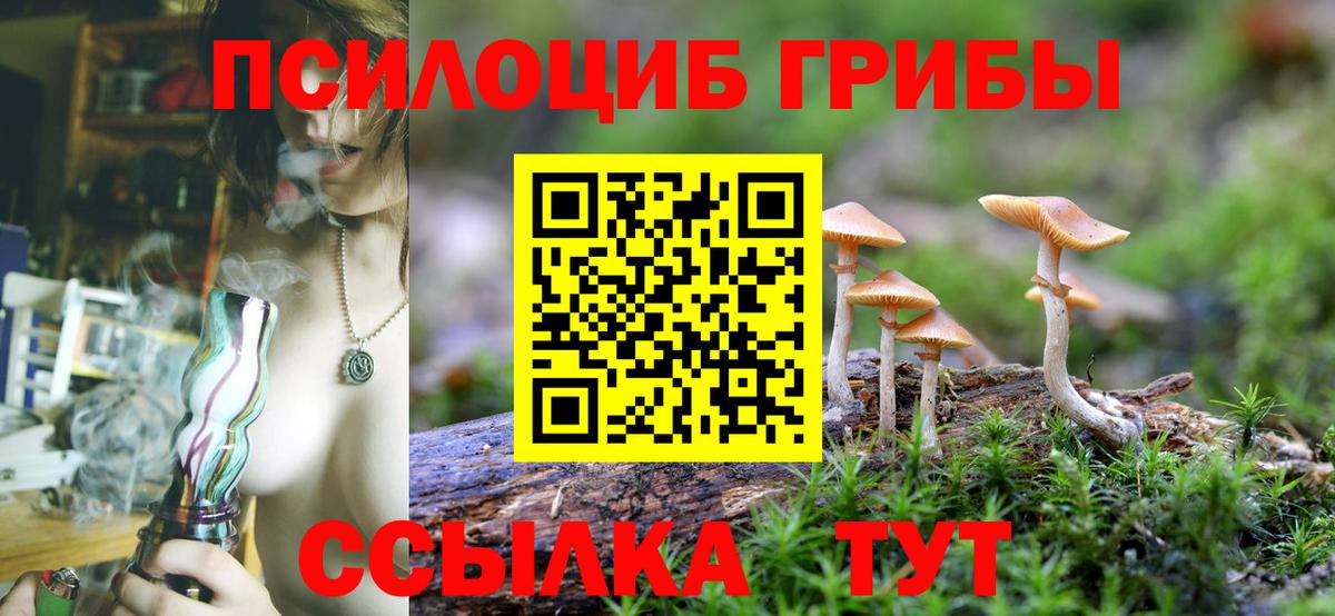 Галлюциногенные грибы мицелий Архангельск